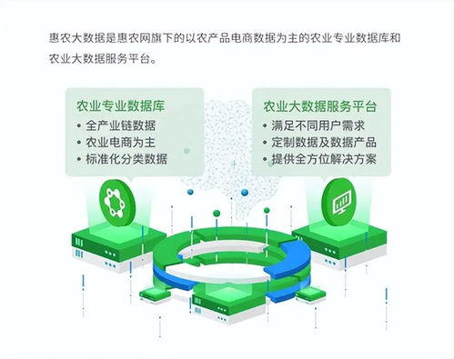 惠農網 數字化產業服務十年助農路，從追趕到超越的數字內容賦能之旅