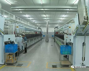 桐鄉科技與時尚融合 鑄就行業“單打冠軍”的技術開發之路